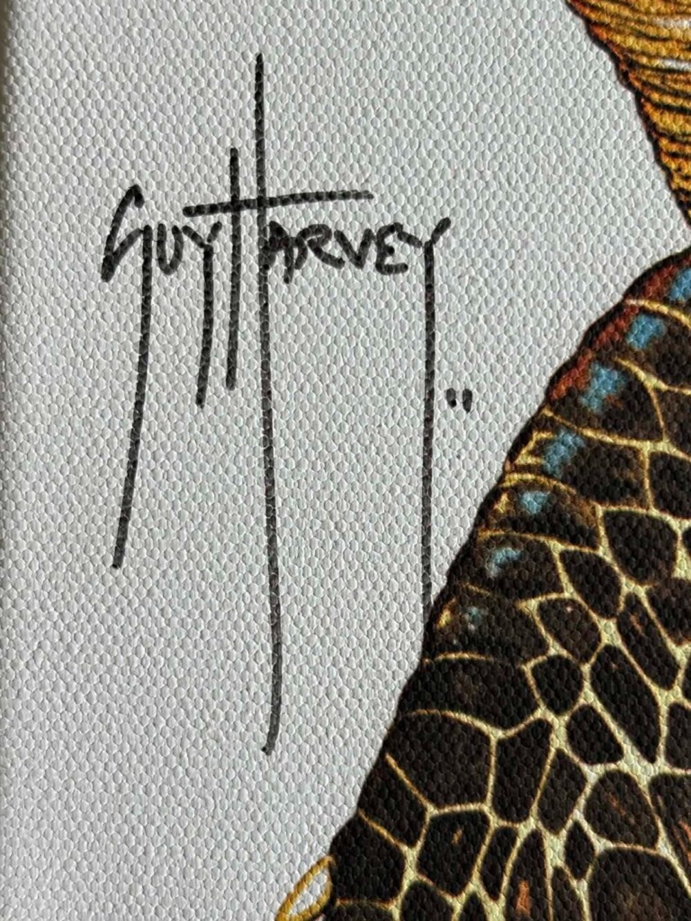 Signed Guy Harvey Sea Turtle Canvas 12x14 – Jamaica Fundraiser - Picture 2 of 8